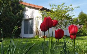 La Petite Maison